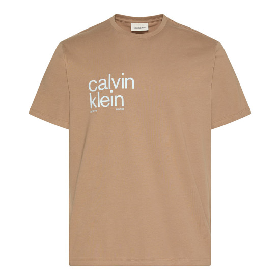 Calvin Klein Ανδρική κοντομάνικη μπλούζα Circle Graphic Relaxed T-Shirt